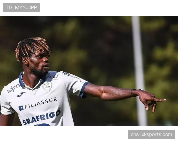 勒阿弗尔三将伤停,欧塞尔四人缺席影响中场组织 勒阿弗尔三将伤停,欧塞尔四人缺席影响中场组织